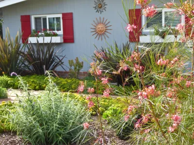 Billy Goodnick Garden Design - Garden Remodeling in Santa Barbara, CA