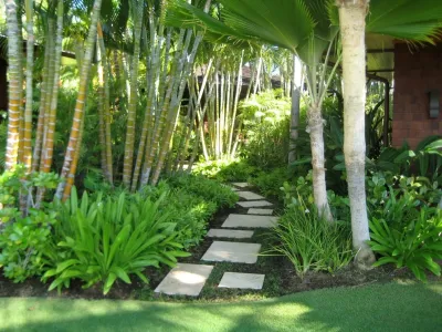 VITA Planning and Landscape Architecture - Landscape Design in San Rafael, CA