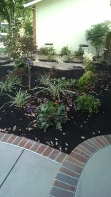 VVM Designs - Garden Remodeling in Livermore, CA