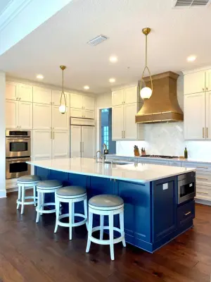 Designer Lifestyles LLC - Kitchen Remodeling in Jacksonville, FL