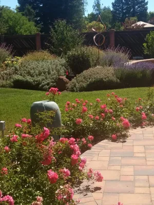 VVM Designs - Garden Remodeling in Livermore, CA