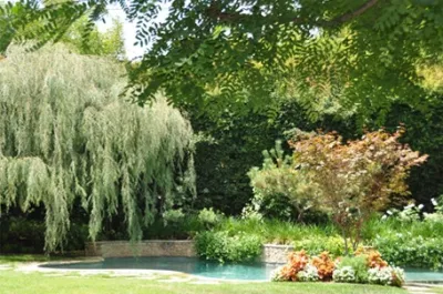 Beverly Hills Residence — Landscape Design project by W Garett Carlson, ASLA