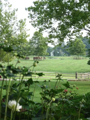 Pastoral by Wallace Landscape Associates