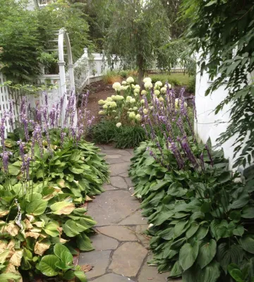 Wayne Landscape by Wallace Landscape Associates