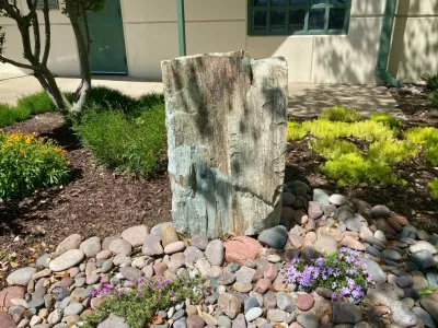 Richardson Texas landscape redo — Landscape Design project by Wanderback Design in Richardson