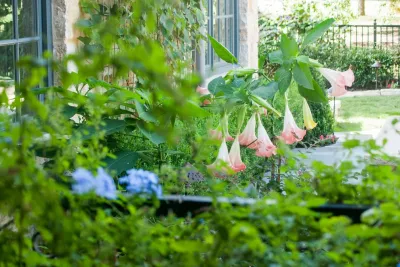 Wanderback Design - Outdoor Lighting Installation in Dallas, TX