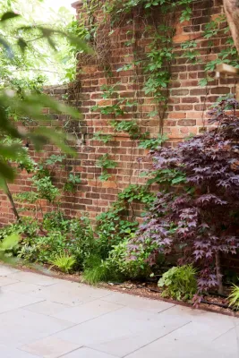 Birch and Basil Design - Drip Irrigation System Installation in New York, NY