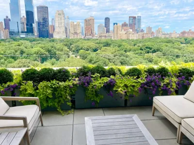 Birch and Basil Design - Drip Irrigation System Installation in New York, NY