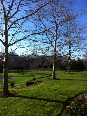 Warren's Nursery - Outdoor Lighting Installation in Watermill, NY