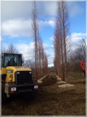 Installation — Landscape Design project by Warren's Nursery