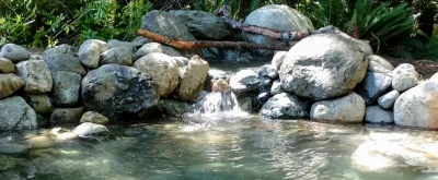 Custome Water Feature - Greenbank WA — Landscape Design project by Waterfall Pond Supply