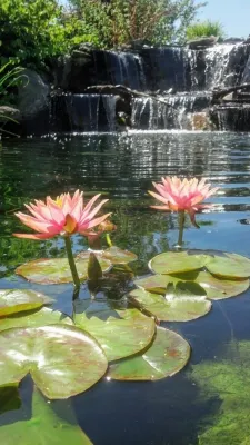 Custom Water Feature - Mount Vernon, WA by Waterfall Pond Supply