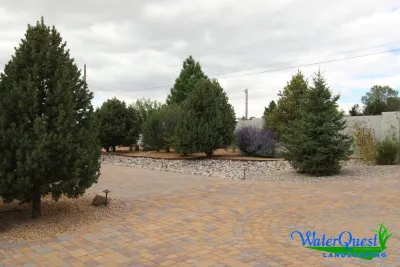Coming up Daisies — Landscape Design project by WaterQuest Landscaping in Albuquerque