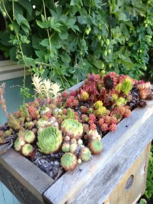 Wheel & Barrow Landscape Design & Maintenance - Lawn Care & Mowing in Portland, OR
