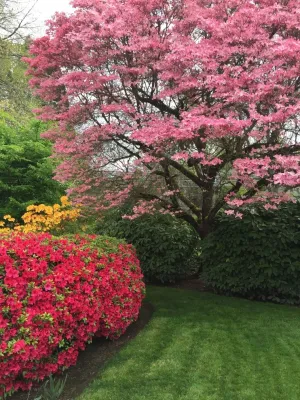 Gardens Maintained by Wheel & Barrow Landscape — Landscape Design project by Wheel & Barrow Landscape Design & Maintenance in Portland