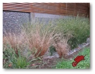 Rain Gardens by Wheel & Barrow Landscape Design & Maintenance