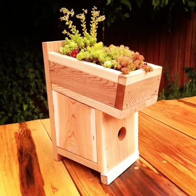 Green Roof Birdhouse — Landscape Design project by Wheel & Barrow Landscape Design & Maintenance