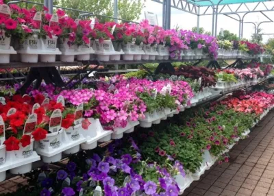 Whispering Hills Garden & Landscape Design Center - Garden Remodeling in Cary, IL