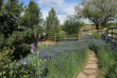 Wild by Design - Garden Remodeling in Lyons, CO