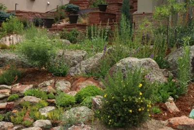 Wild by Design - Garden Remodeling in Lyons, CO