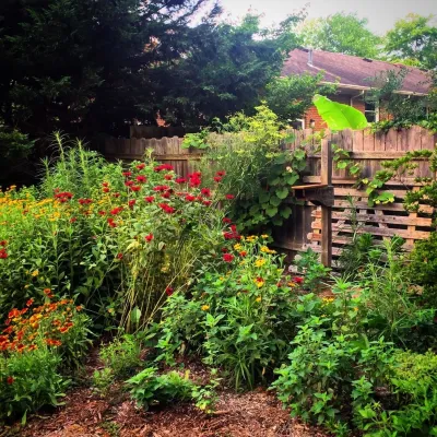 Wild Works of Whimsy, LLC - Landscape Design in Virginia Beach, VA