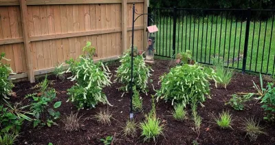 Ashville Park, Virginia Beach — Landscape Design project by Wild Works Of Whimsy, LLC in Virginia Beach