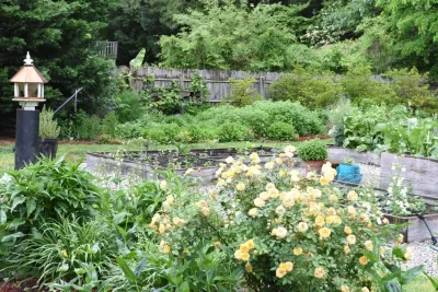 Alanton, Virginia Beach by Wild Works Of Whimsy, LLC