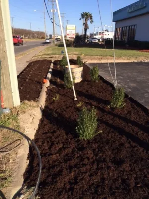 Virginia Beach Blvd Commercial by Wild Works Of Whimsy, LLC