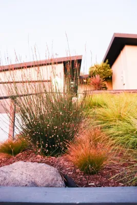 Minimalist Meadow — Landscape Design project by Wildwood Landscapes + Design