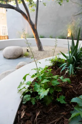 Wildwood Landscapes + Design - Garden Remodeling in El Cerrito, CA