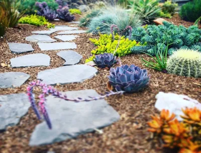 Succulent Paradise — Landscape Design project by Wildwood Landscapes + Design in El Cerrito