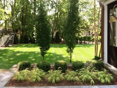 Green and White Garden — Landscape Design project by Winston Fayer Landscape Design in Larchmont