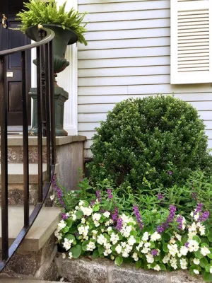 Winston Fayer Landscape Design - Patio Design & Installation in Larchmont, NY