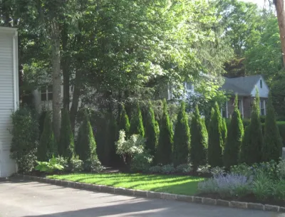 New Rochelle — Landscape Design project by Winston Fayer Landscape Design