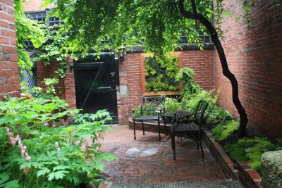 Wisteria & Rose - Irrigation System Repair in Boston, MA