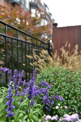 Wisteria & Rose - Irrigation System Repair in Boston, MA