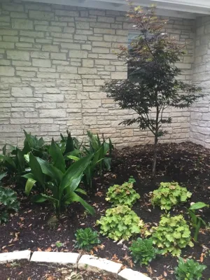 Blissful Gardens & Green Dragon Design - Landscape Construction in Austin, TX