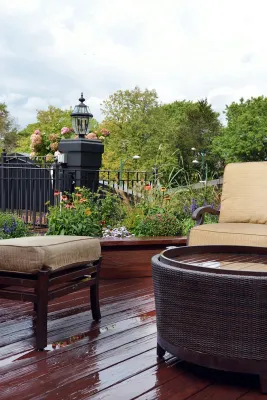 Wisteria & Rose - Irrigation System Repair in Boston, MA