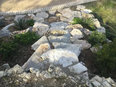 Blissful Gardens & Green Dragon Design - Landscape Construction in Austin, TX