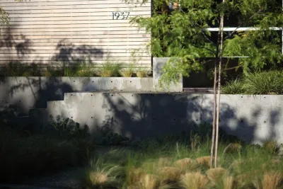 Wittman Estes Landscape - Landscape Design in Seattle, WA