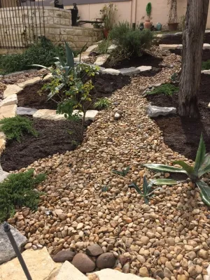 Blissful Gardens & Green Dragon Design - Landscape Construction in Austin, TX