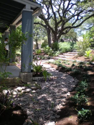 Travis Heights Project — Landscape Design project by Blissful Gardens & Green Dragon Design in Austin