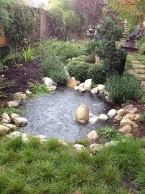 Blissful Gardens Residence — Landscape Design project by Blissful Gardens & Green Dragon Design in Austin