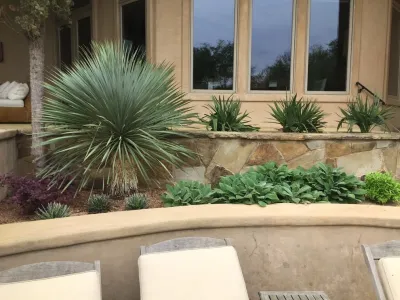 Back Porch/Poolside Xeriscape Garden — Landscape Design project by Blissful Gardens & Green Dragon Design in Austin