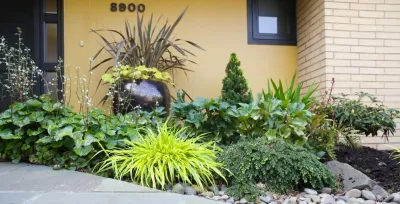 Family Front Yard Renovation — Landscape Design project by Wolfstone Landscape Design