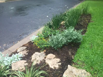 Tarrytown Project — Landscape Design project by Blissful Gardens & Green Dragon Design in Austin