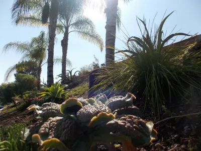 Xeristyle | Exterior | Design - Landscape Design in Fullerton, CA