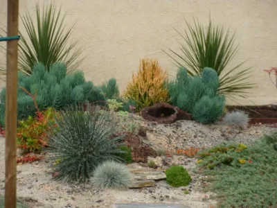 Xeristyle | Exterior | Design - Landscape Design in Fullerton, CA