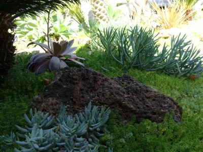 Xeristyle | Exterior | Design - Landscape Design in Fullerton, CA