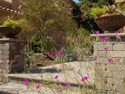 Xeristyle | Exterior | Design - Landscape Design in Fullerton, CA